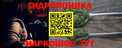 apvp Пушкино