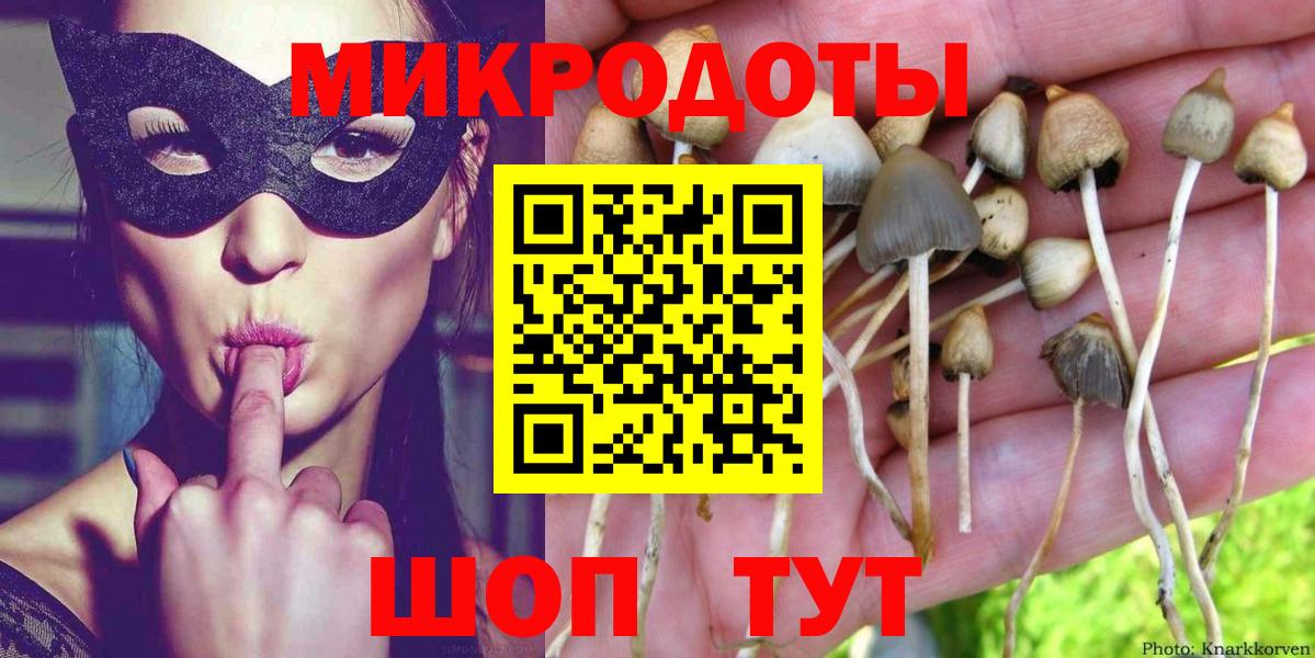 Серпухов  Галлюциногенные грибы Psilocybine cubensis  Вход с VPN 